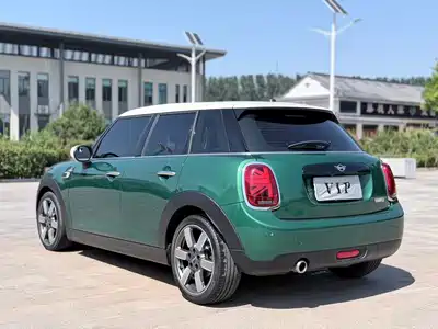 MINI MINI 2019