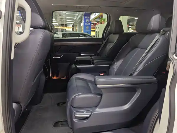 GAC Trumpchi M8 2022