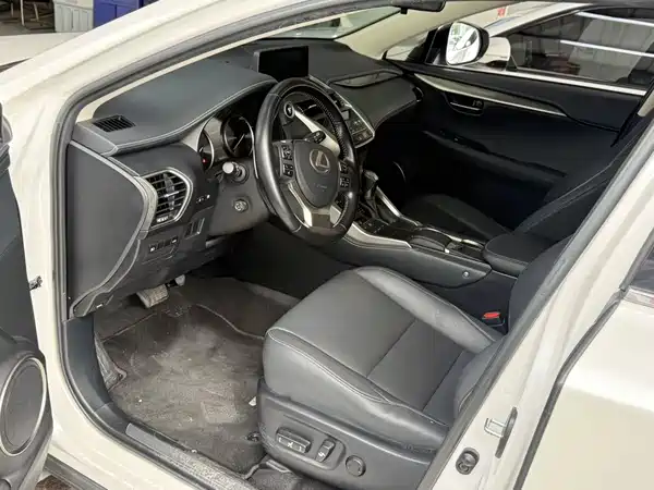 Lexus NX 2020