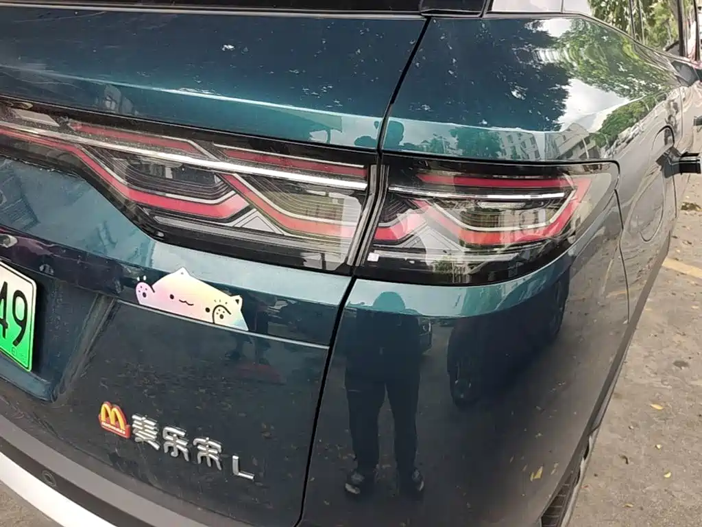BYD L DM-i 2024 — фото 8
