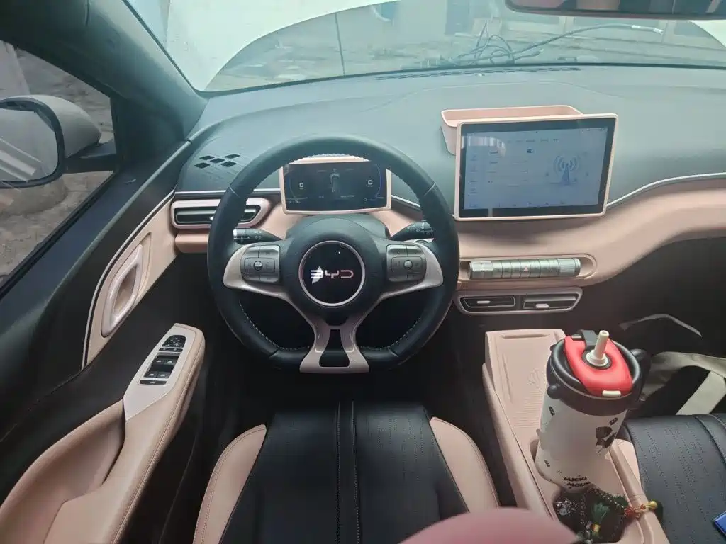BYD Seagull 2024