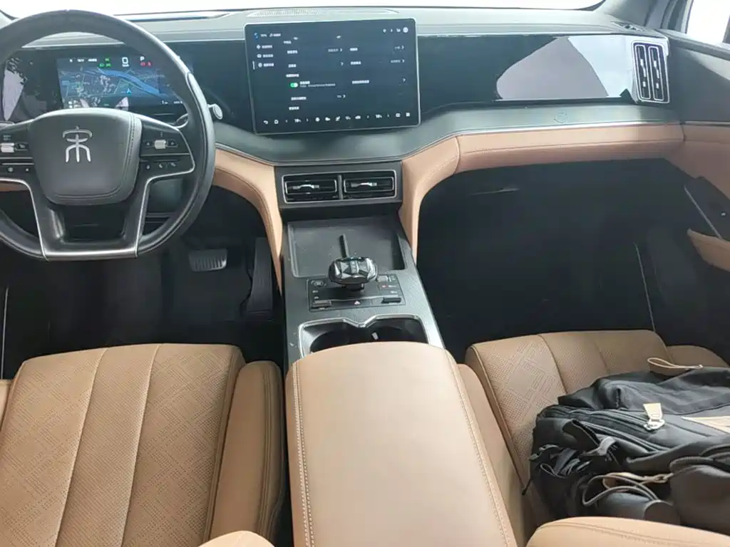 BYD L DM-i 2024 — фото 13