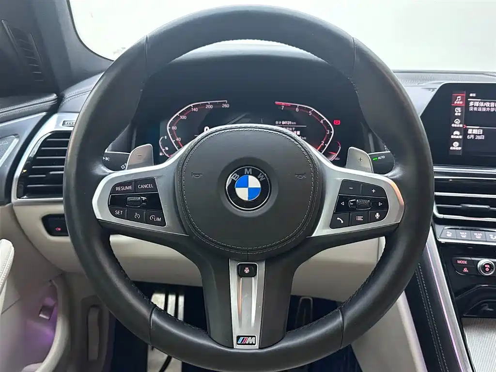 BMW 8 Series 2020 — фото 14