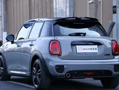 MINI MINI 2021