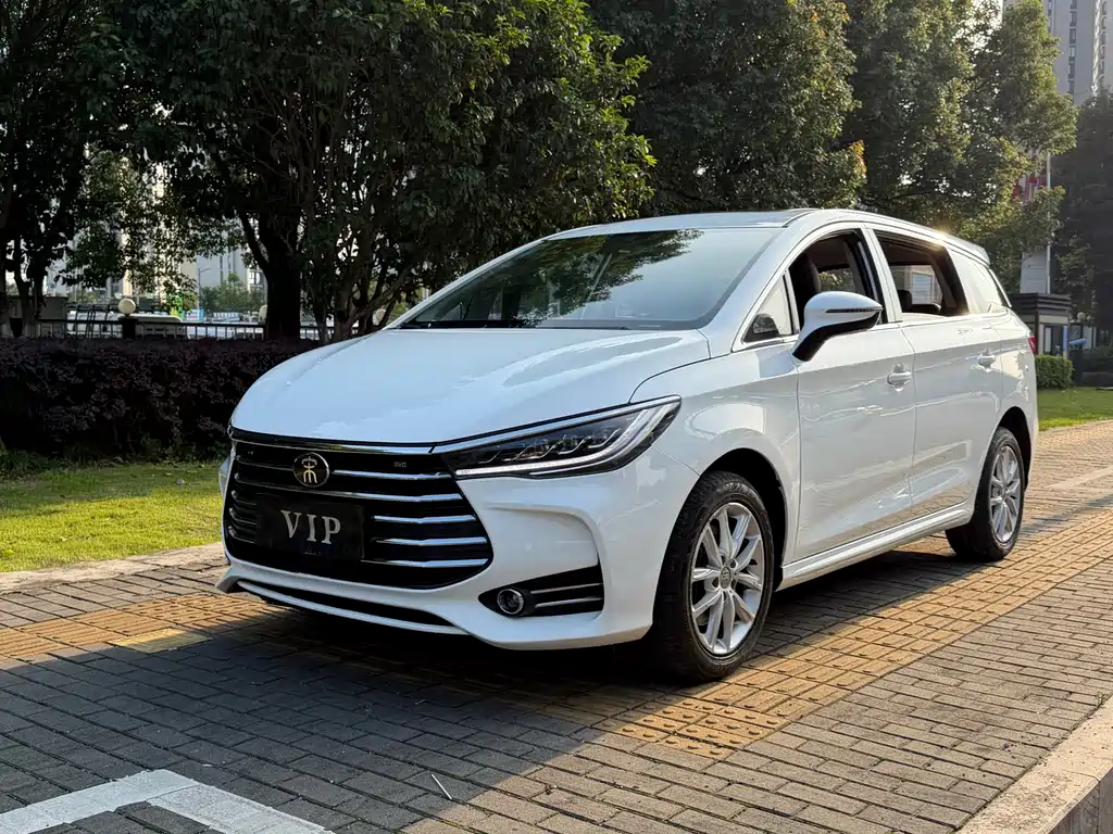 BYD MAX 2019 — фото 1