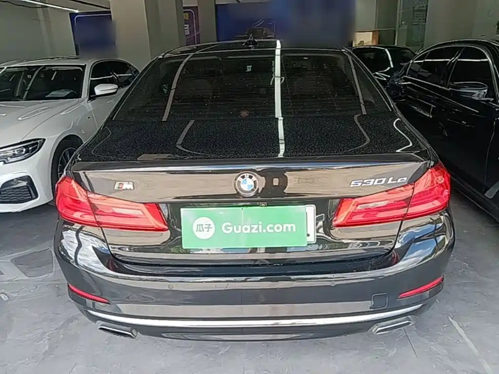BMW 5 Series New Energy 2020