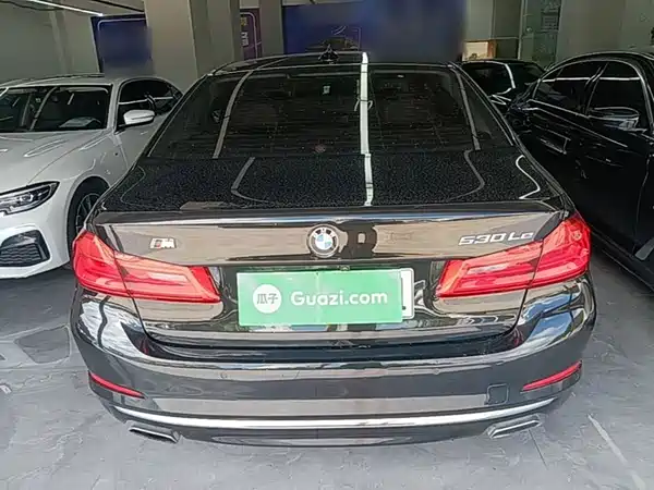 BMW 5 Series New Energy 2020