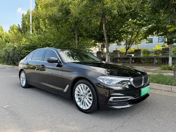 BMW 5 Series New Energy 2020
