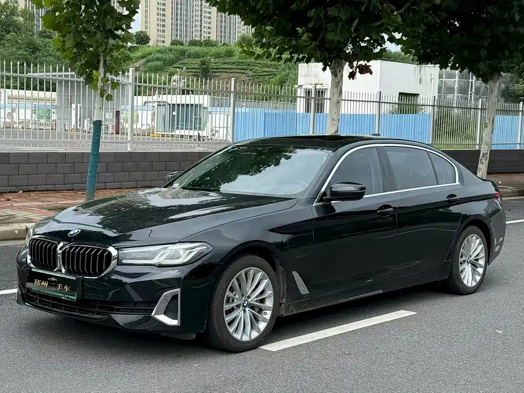 BMW 5 Series New Energy 2021