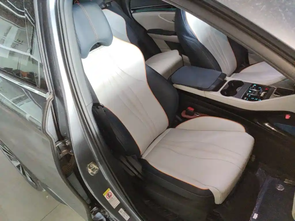 BYD PLUS New Energy 2024 — фото 25
