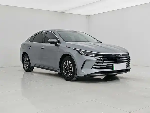 BYD Destroyer 05 2024