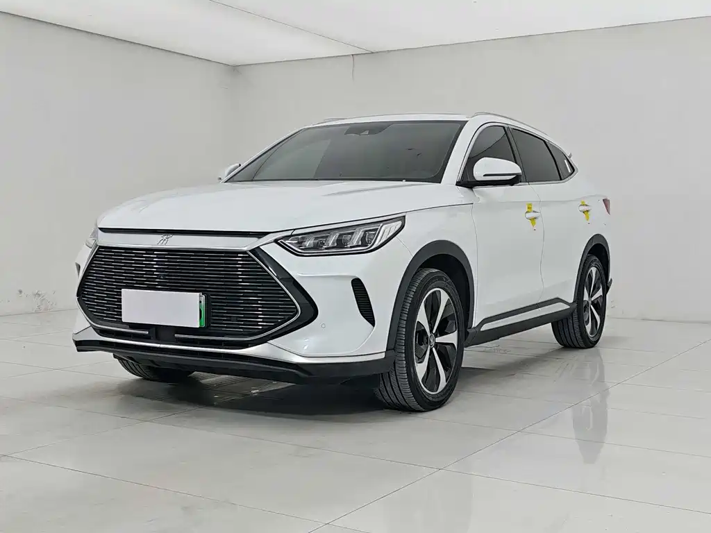 BYD Song PLUS New Energy 2021 — фото 1