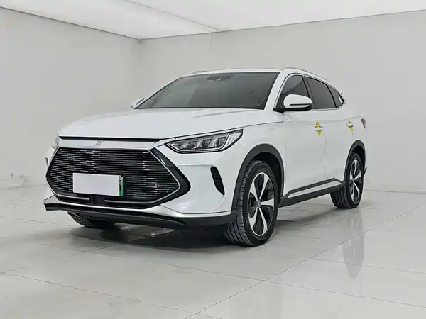BYD Song PLUS New Energy 2021