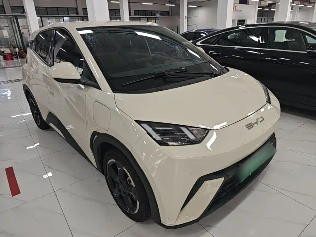 BYD Seagull 2024