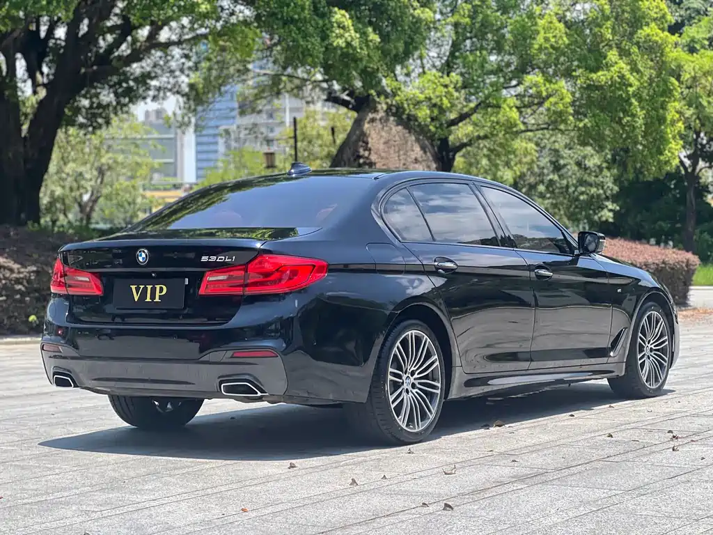 BMW 5 Series 2018 — фото 27