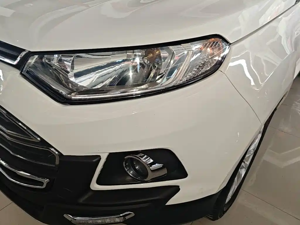 Ford EcoSport 2015 — фото 24