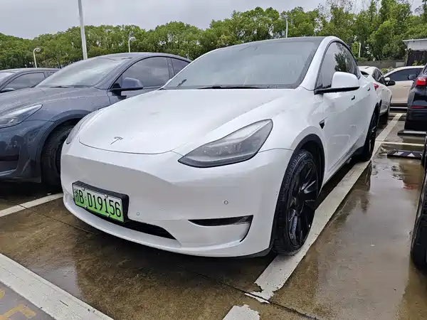 Tesla Model Y 2021