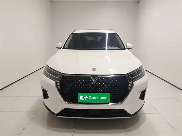 Venucia Star 2020