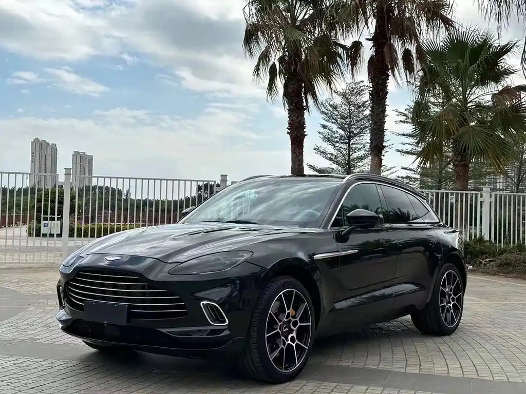 Aston Martin DBX 2022 — фото 1