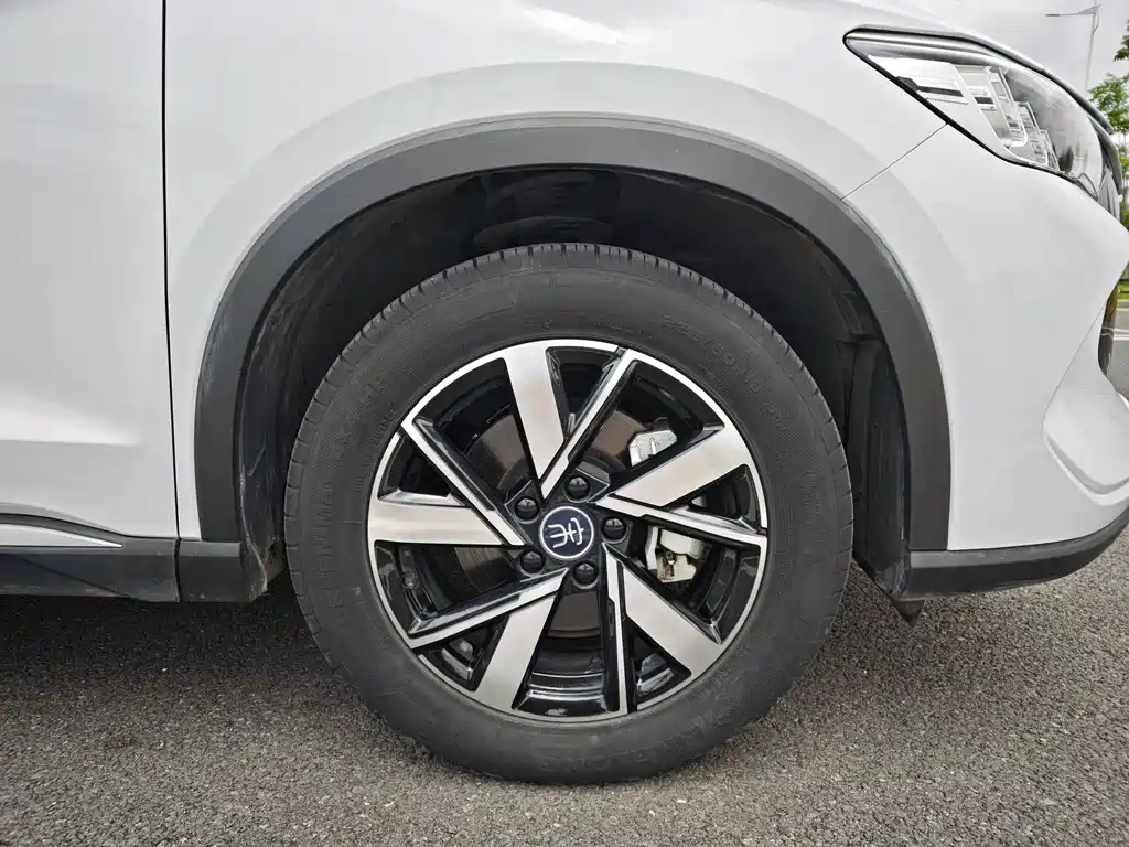 BYD Pro New Energy 2023 — фото 17