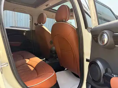 MINI MINI 2022