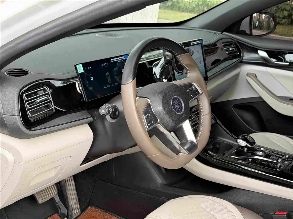 BYD Qin PLUS 2024 — фото 11