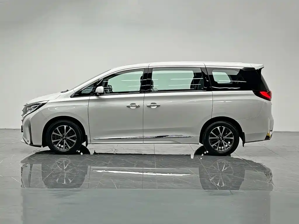 GAC Trumpchi M8 2024 — фото 3