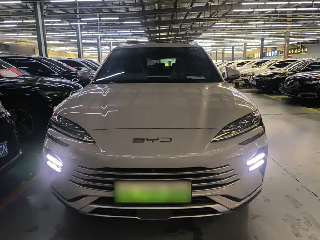 BYD Song PLUS New Energy 2024 — фото 3
