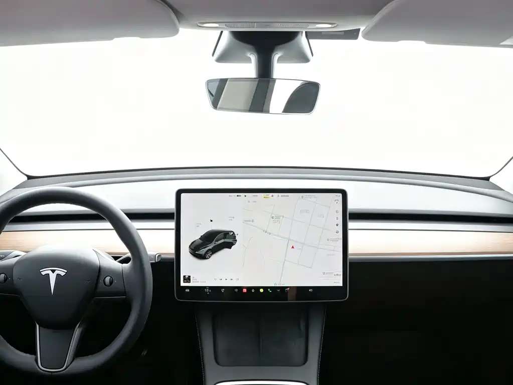 Tesla Model Y 2021 — фото 11