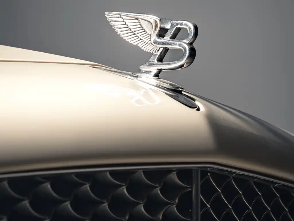 Bentley Elegance 2009 — фото 5