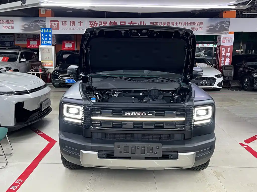 Haval Raptors New Energy 2026 — фото 19