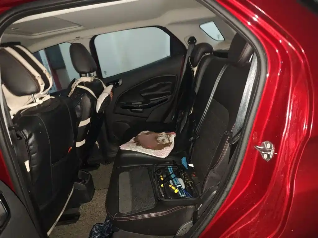 Ford Ecosport 2017 — фото 15