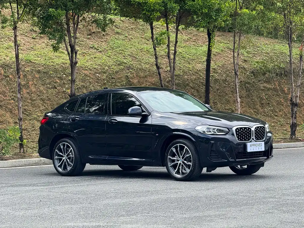 BMW X4 2022