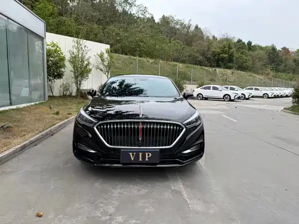 Hongqi H5 2020