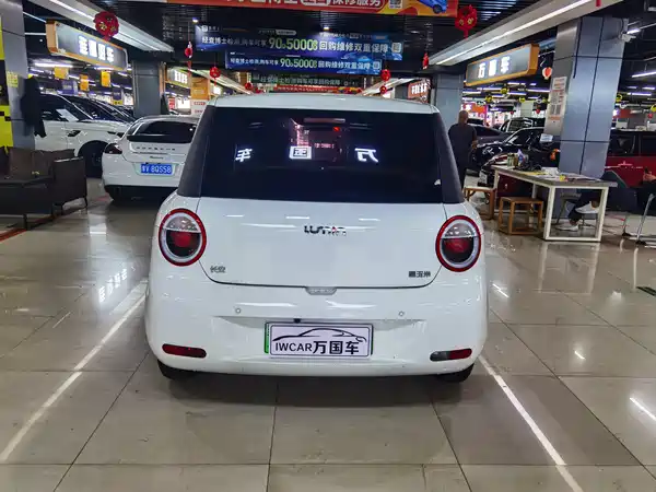 Changan Lumin 2024