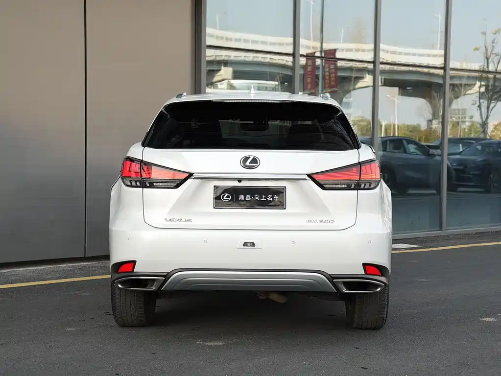 Lexus RX 2022 — фото 5