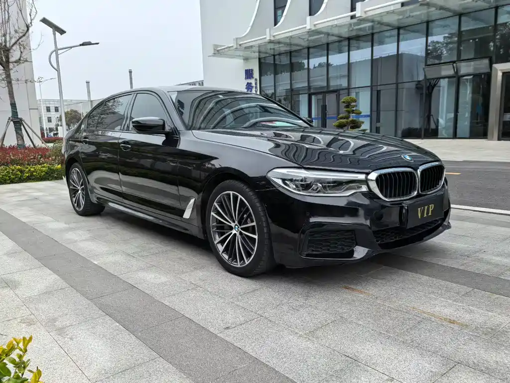 BMW 5 Series 2019 — фото 3