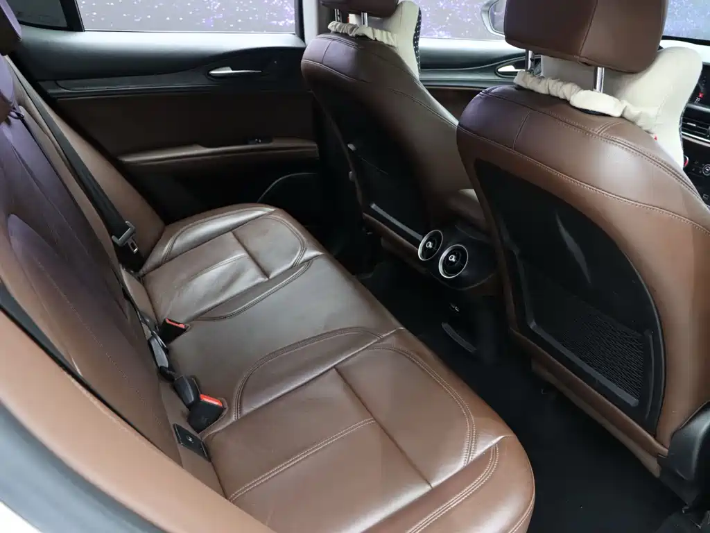 Alfa Romeo Stelvio 2019 — фото 15