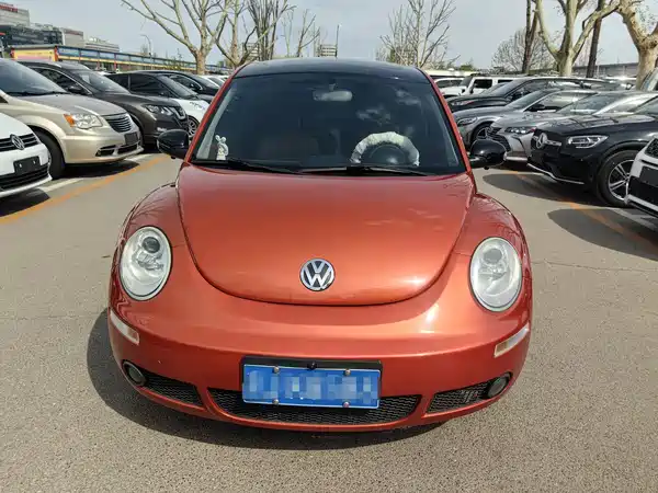 Volkswagen Beetle 2010
