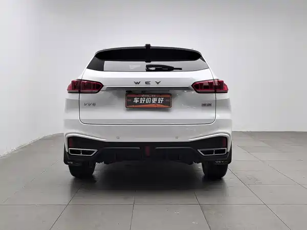 Wey VV5 2020
