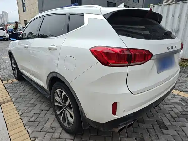 Wey VV6 2019
