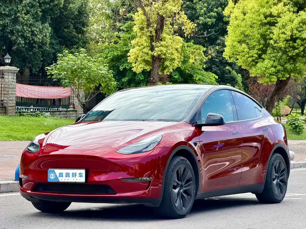 Tesla Model Y 2024 — фото 1
