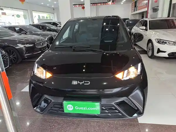 BYD Seagull 2025