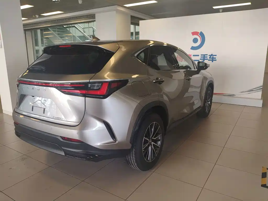 Lexus NX New Energy 2022 — фото 28