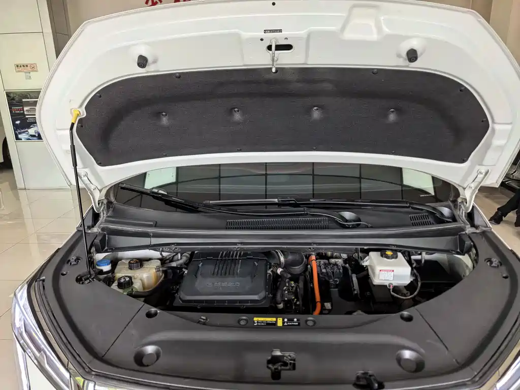 GAC Motor Trumpchi M8 2023 — фото 19