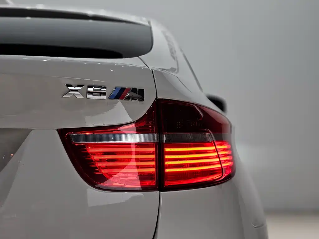 BMW X6 M 2010 — фото 22