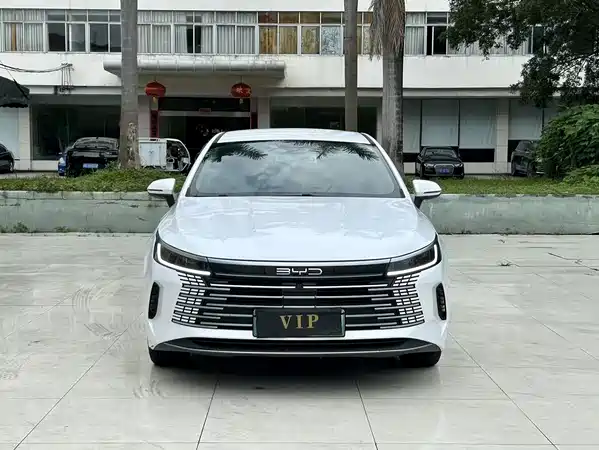 BYD Destroyer 05 2023