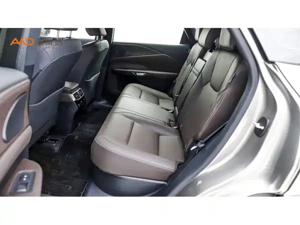 Lexus RX New Energy 2023