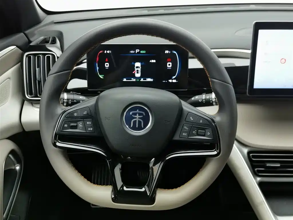 BYD Pro New Energy 2024 — фото 11