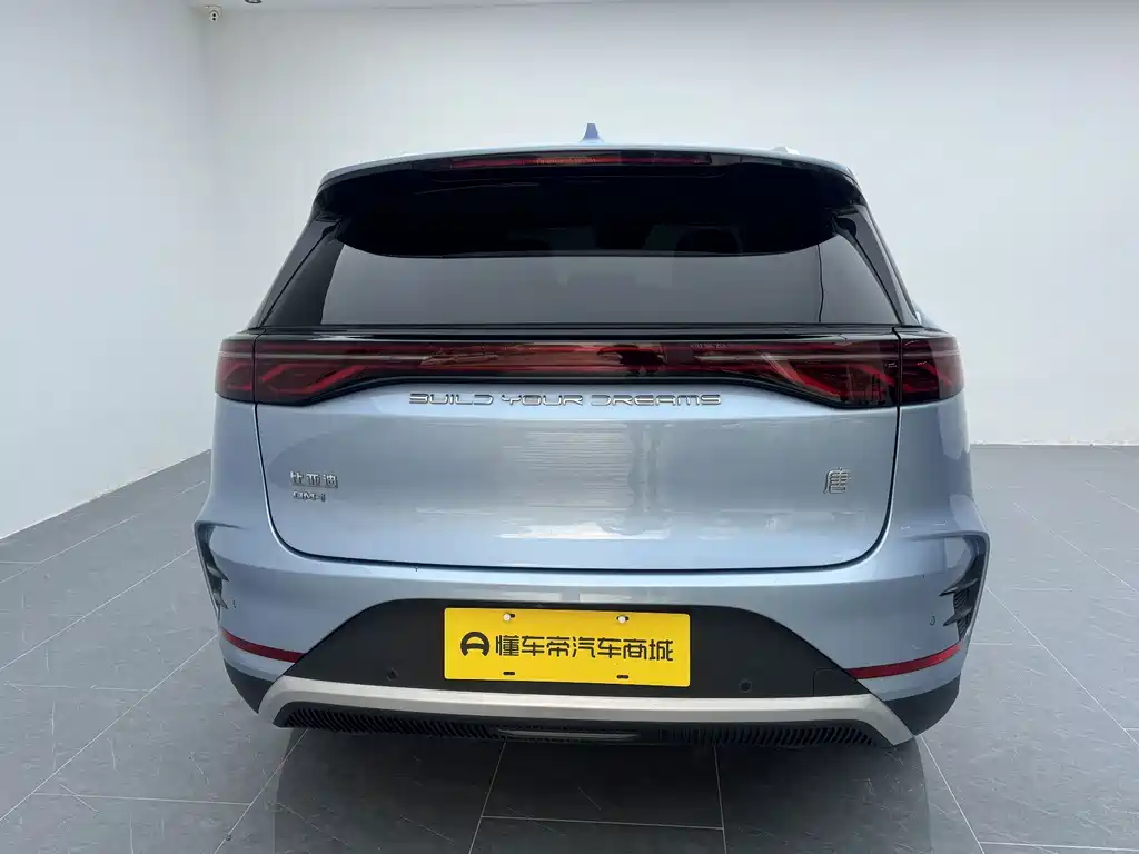 BYD Tang New Energy 2024 — фото 15
